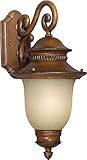 Forte Lighting 17030-01-41 Exterior Wall Light with Umber Linen Glass Shades, Rustic Sienna [並行輸入品]