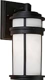 Artcraft Lighting Columbia Outdoor Wall Sconce Light, Black [並行輸入品]