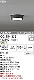 オーデリック　フラットプレートエクステリア 【OG 254 536】【OG254536】