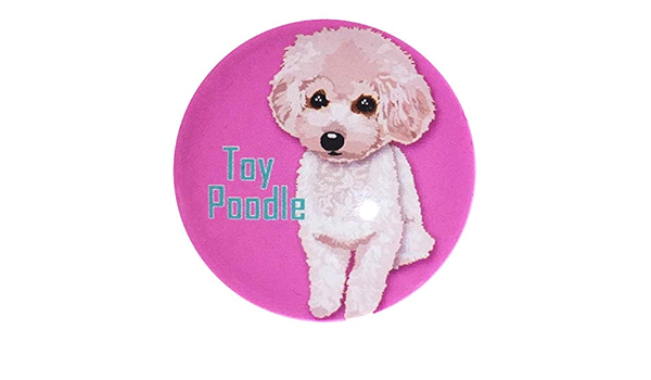 Amazon Co Jp マグネット トイプードル Pk 犬 マグネット マグネットクリップ Dog Magnet ホーム キッチン
