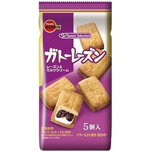 ブルボン ガトーレーズン 5個入 ラム酒香るしっとりケーキ菓子