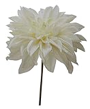 ラージダリヤピック ホワイト 66-472743-0