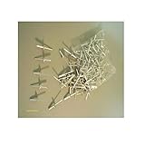 100 LargeフランジBigドームヘッドスチールポストアルミポップリベット3 / 16 " x 3 / 4 "新しい