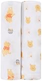 ideal baby by the makers of aden + anais Disney swaddle 2 pack winnie [並行輸入品]