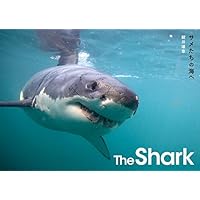 The Shark サメたちの海へ