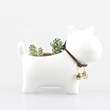 白い しっぽを振る　犬　動物 セラミックス 陶器 磁器 トレイ ベース 鈴 植木鉢 多肉植物 ミニ景観 盆栽 プランター モス 苔 コケ モストレ サボテン ファーン フラワーポット 花器