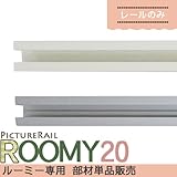 ピクチャーレール ルーミー20 レール単品 ■シルバー ▼40cm JQ5