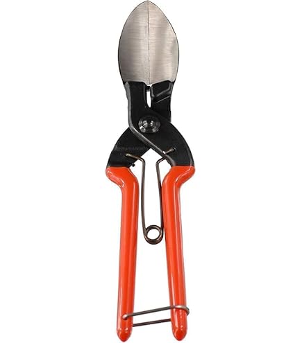 Amazon | 飛塚製鋏所 ニンニク切鋏 飛庄 31167 180mm | 園芸用はさみ