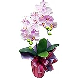 高級 胡蝶蘭２本立ち 光触媒 造花 シルクフラワー (ラベンダー) 御昇進 お誕生日 光触媒 お祝い 開店祝い 新築祝い コチョウラン ギフト プレゼント
