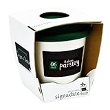 サイン＆デイト　イタリアンパセリ