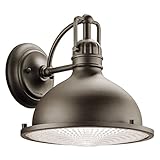 49067OZ Hatteras Bay 1-Light 11-Inch Outdoor Wall Mount, Old Bronze Finish with Fresnel Glass Diffus