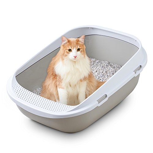 https://images-fe.ssl-images-amazon.com/images/I/41FlrtYjSNL.jpg