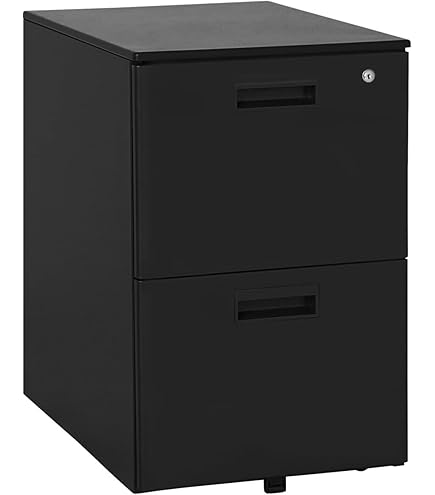 Amazon.co.jp: 【メーカー配送・設置・組立】プラス ファイリング