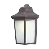 Woodbridge Lighting 60014WL-RTP Energy Saving 1-Light Outdoor Wall Sconce, Powder Coat Rust [並行輸入品]