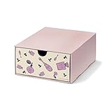 Disney　ディズニー　クラフトブーツ＆シューズ収納ボックス　ディズニープリンセス　タイプ:シューズ・４個