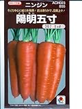 陽明五寸 タキイ種苗のニンジン種です