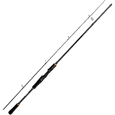 Amazon.co.jp 最新リリース: シーバスロッド の新着ランキングです。