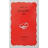 法とは何か 新版 (岩波新書)
