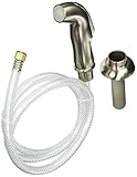 Peerless RP44125SS Spray and Hose Assembly, Stainless [並行輸入品]