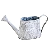 アンティークシャワーポット 大