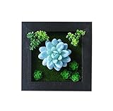 農家のスタイルの人工植物の装飾品の壁の装飾、青