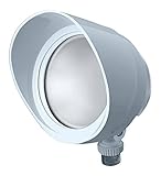RAB Lighting BULLET12W LED Floodlight, 12W, 120V, 5000K, White [並行輸入品]