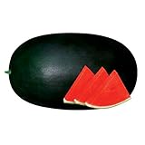 20pcs/lot . Giant Sweet Black Watermelon seed. home Gardening. huge delicious.earliest and most cold