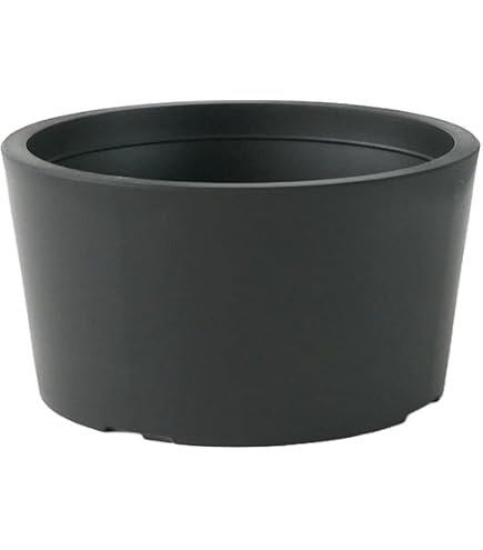 Amazon.co.jp: 大貫弘由岐 作家鉢 植木鉢 陶器鉢 コーデックス 塊根