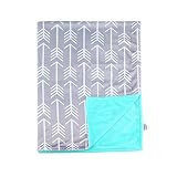 Towin Baby Arrow Minky Receiving Blanket, Mint 30x40 by TOWIN BABY