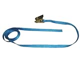 テザック(TESAC) ラッシングベルト ラチェットバックル式 R05N ベルト幅 25mm 040-000A