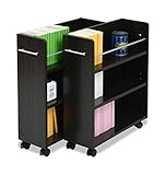 JKプラン クローゼット 収納 ラック 本棚 2個セット 幅19 奥行58 キャスター付き ワゴン 整理 隙間 家具 押入れ 収納 リビング 大容量 棚 スライド 収納庫 漫画 CD DVD TSSGT0128DB