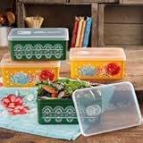 The Pioneer Woman Blossom Jubilee Rectangular Large Food Storage Container Set With Vent Set Of 4 [並