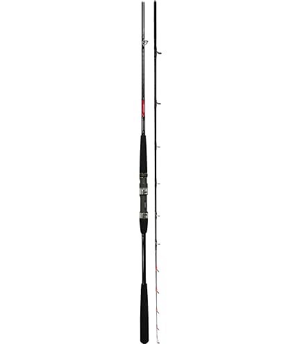 Amazon | ダイワ(DAIWA) 船竿 メタリア アカムツ M-215 釣り竿 
