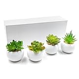 TOSSOW ミニ 人工多肉植物 人工観葉植物 可愛い 枯れない インテリア 人工観葉植物 オフィス 屋内偽緑色鉢植え4点セット (円形)