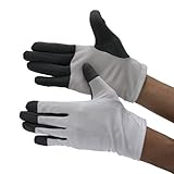 ウインセス 【5本指タッチOK！／スマホ対応手袋】 制電手袋 (L)