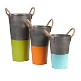 IMAX 44233-3 Set of 3 Chelsey Tall Flower Vases [並行輸入品]