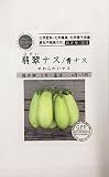 自然栽培の種 翡翠ナス/青ナス グリーンフィールドプロジェクトのタネ