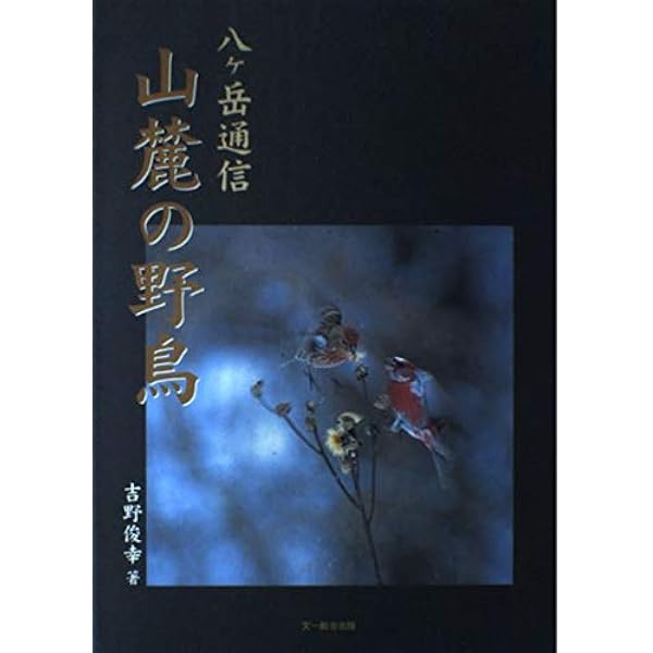 吉野晁生（よしのあさお）さんの原画　 タイトル「八ヶ岳」 吉野晁生（よしのあさお）さんの原画 タイトル「八ヶ岳」 - 絵画