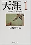 天涯〈1〉鳥は舞い光は流れ