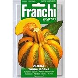 [ 西洋野菜 種 ] カボチャ トンダ パダナ