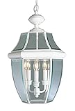 Livex Lighting 2355-03 Monterey 3-Light Outdoor Chain Hang, White [並行輸入品]