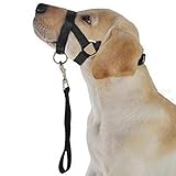 ヘッドカラー ジェントルリーダーハーネス 犬 引っ張り防止 しつけ 口輪 首輪 犬 マスク 犬用マズル サイズ調節可 着脱簡単 犬の口 保護 犬用訓練 しつけ用品 小型犬 中型犬 大型犬（ブラック） (XXL)