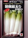 耐病総太り大根　　タキイ交配の秋大根種です