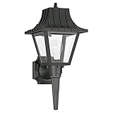 Sea Gull Lighting 8720-32 Single-Light Wall Lantern,Clear Black Polypropyleneシングルライトウォールランタン [並行輸入品]