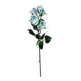 ローズスプレークローズド×5 FXFR0021BLU