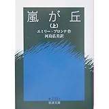 嵐が丘(上) (岩波文庫)