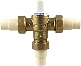 Cash Acme 24534 HG160 3/4-Inch CPVC Connections and Integral Checks by Cash Acme
