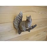 野川農園木登りリスL