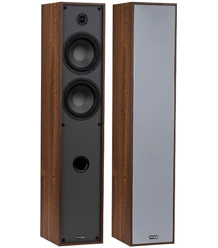 Amazon.co.jp: Dayton Audio Classic CS1200 – 12インチ 200W パワード