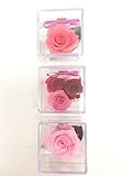 プリザーブドフラワーローズキューブ3個セット【リボンラッピング付き】